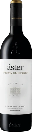Red Wine Aster Finca El Otero 2018