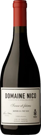 Red Wine Domaine Nico Histoire d'A Pinot Noir 2020