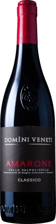Red Wine Domini Veneti Amarone della Valpolicella Classico 2019