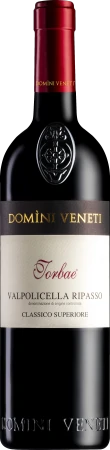 Red Wine Domini Veneti Vigneti di Torbe Valpolicella Ripasso Superiore 2019