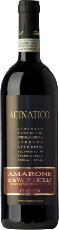 Red Wine Stefano Accordini Acinatico Amarone della Valpolicella Classico 2018